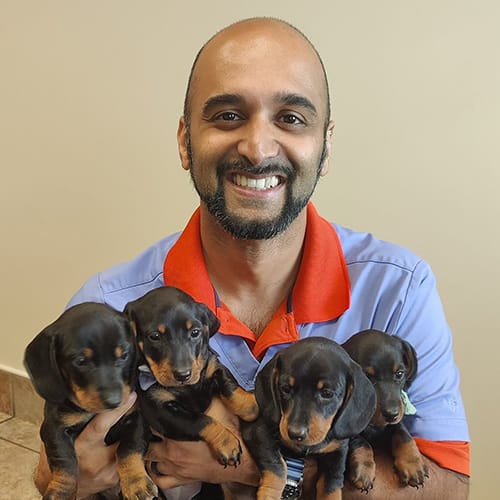Dr. Julian D'Cruz, Mechanicsburg Veterinarian