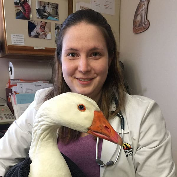 Dr. Lora Mengle, Mechanicsburg Veterinarian